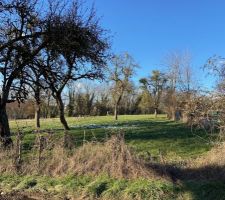 Terrain vu de la rue