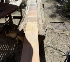Test Rubio pour terrasse bois
