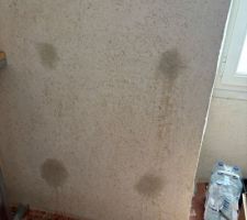 Radiateur moche fix&eacute; dans le chaux chanvre puis retir&eacute;. J?ai tent&eacute; de reboucher les trous avec le m&ecirc;me m&eacute;lange : on dirait que mon chien a urin&eacute; sur le mur?  suis d&eacute;go&ucirc;t&eacute;e