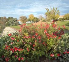 Avant l'intervention des paysagistes