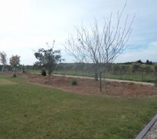 Quelques plantations j'en rajouterais quand je pourrais