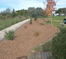 J'ai mis 2.h30 pour poser le mulch en tas sur le sol! j'ai tondu la pelouse pour aspîrer les copeaux de bois.je suis épuisée demain est un autre jour pour etaler le mulch