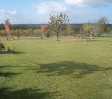 Les paysagistes parti mercredi j'ai mis le mulch sur le parterre je l'ai étalé ..et j'ai rajouté des plants offerts par des voisins