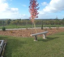 Petits plants deviendront grands (enfin pas trop).