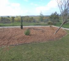 Partie nord il me reste a mettre un arbuste que je d&eacute;placerai prochainement le tuteur est pr&ecirc;t. rete le probl&egrave;me du prunier qui gite apr&egrave;s les temp&ecirc;tes et que je n'ai pas r&eacute;ussi a redresser .