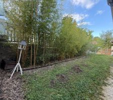 Parcelle nord inexploit&eacute;e, lieu de la future extension