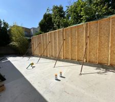 Début de l'ossature