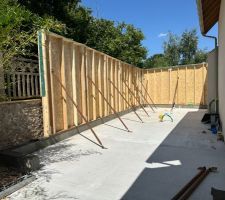 Début de l'ossature