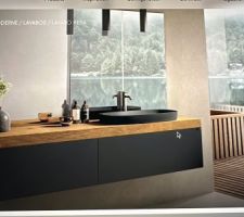 Choix vasque SDB