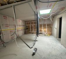 Début du placage et travaux electriques