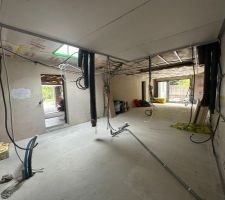 Début du placage et travaux electriques