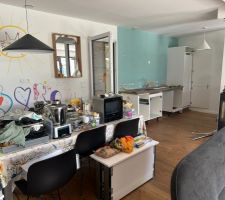 Demontage de la cuisine avant ouverture du mur