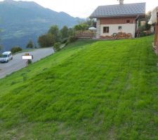 L'herbe de prairie a pouss&eacute; ! - CC-BY-NC-SA