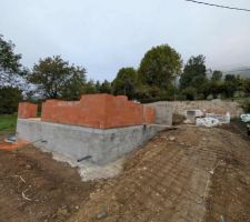 Montage des murs du RDC