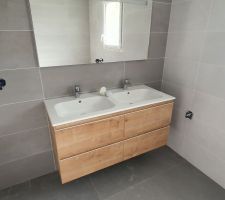 Meuble vasque de la salle de bain