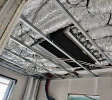 Plafond du cellier.