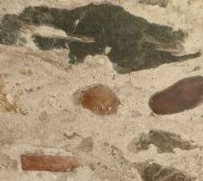 D&eacute;tail du mur qui s&eacute;parera la sdb de la chambre depuis lundi !