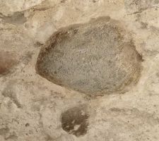 D&eacute;tail du mur qui s&eacute;parera la sdb de la chambre depuis lundi !