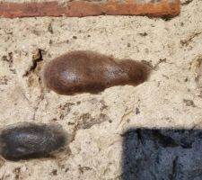 D&eacute;tail du mur qui s&eacute;parera la sdb de la chambre jusqu'&agrave; dimanche dernier...