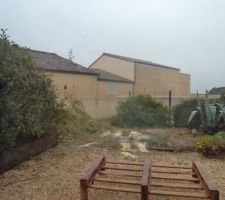 Le saule etait bien malade donc exit l'arbre l'élagueur est passé