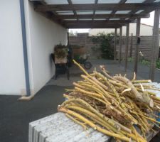 Branches sciées branchettes avec feuilles pliées et enroulées et mis en carton .