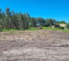 La découverte du terrain