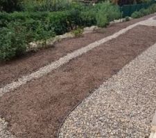 Aménagement de la noue paysagère - 02/11/25