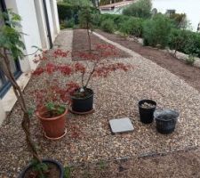 Aménagement de la noue paysagère - 02/11/25