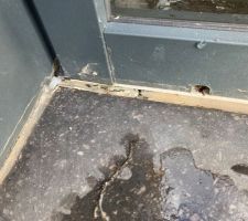 Porte entrée pierre bleue