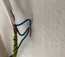 EPISSURE SOVAGE DANS GOULOTTE