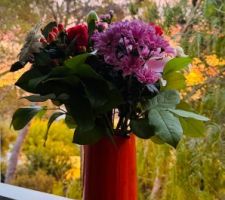 Lever de soleil novembre