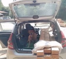 On va chercher les raidisseurs à la scierie...Me reste pas beaucoup de place pour poser mes fesses !!