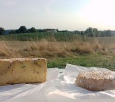 Le bon fromage qui pue en direct de la fromagère du patelin! 12 balles à gauche et 10 à droite: qui dit mieux ?!