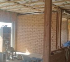 Vue d'ensemble du salon et de la cuisine