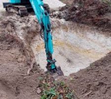 Pour enterrer les souches de pins de 50 ans