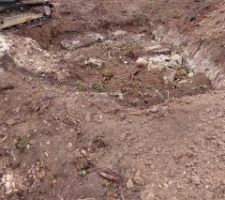 Pour enterrer les souches de pins de 50 ans, recouvert ensuite