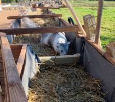 Terrasse Est. Le lever de soleil face à la baie vitrée. Très appréciable en mi-saison, sans vent et sans pluie pour profiter d'une terrasse entièrement ouverte. Le préau étant lui à l'ombre.