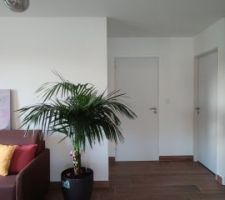 La canapé lit positionné dans la bibliothèque. Il est face à la télé comme une salle "cinéma" partagée avec la bibliothèque !!