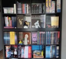 Bibliothèque en plaine hauteur ! La passion de la bd, des romans fantasy et des pokemon...