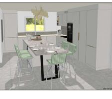 3D face implantation Schmidt