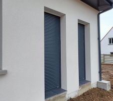 Volet noir tr&egrave;s jolie