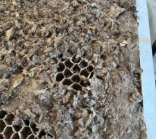 Remplissage de la porte