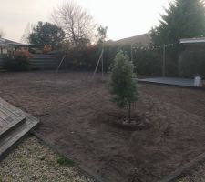 Plantation jardin