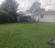 Le gazon &agrave; pouss&eacute;