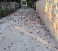 Vue d'ensemble du chemin depuis son entr&eacute;e.