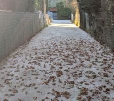 Autre vue d'ensemble du chemin depuis son entr&eacute;e.