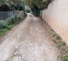 &Eacute;tat du chemin avant travaux, vue de