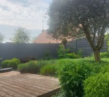 Nouvelle palissade en composite en remplacement des panneaux bois