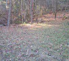 Terrain quasiment plat pour accueillir le studio de musique en bois