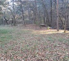 Terrain quasiment plat pour accueillir le studio de musique en bois